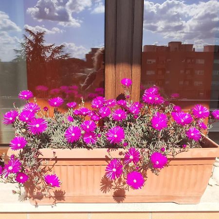 Bed and Breakfast L'Orchidea Di Ale Тиволи-Терме Экстерьер фото
